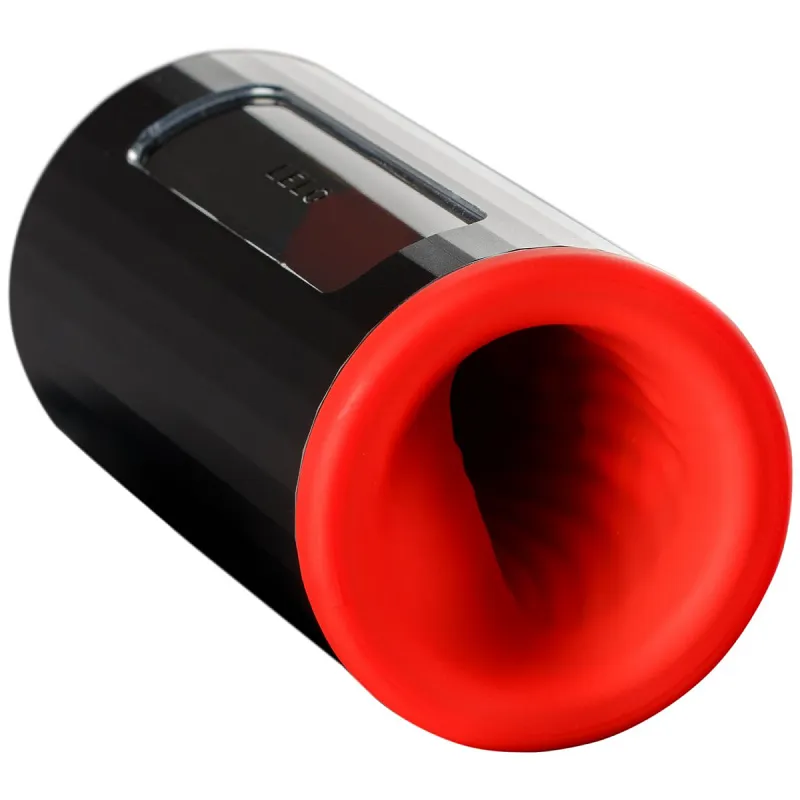 LELO F1s